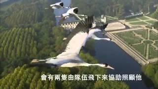 雁行理論