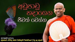 අඩු පාඩු හදාගෙන ජීවත් වෙන්න | විශේෂ ධර්ම දේශනාව | Venerable Welimada Saddaseela Thero