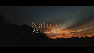 Cinematic Video Of Nature | Relaxing Nature Video | Village Morning Vibes