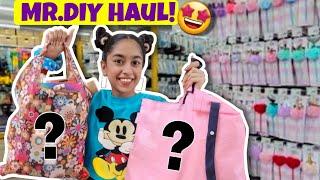 Mr.DIY Haul! *FIRST TIME* | Riya's Amazing World