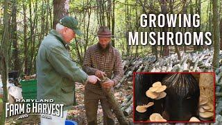 Growing Mushrooms - Indoors and Outside | Maryland Farm & Harvest