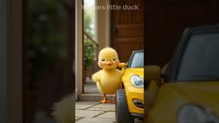 The little duck buys a car for the baby to play with.#short#ducklings #pets #cute #viralvideo #yt