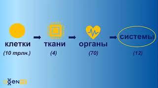 Ппросто и понятно о главном