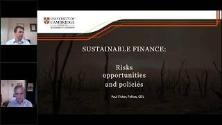 Sustainable Finance: Risks & Policy