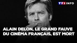 Alain Delon, le grand fauve du cinéma français, est mort