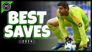 Best saves of the pre season 2024/25  | FHD