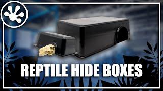 Pangea Reptile Hide Boxes