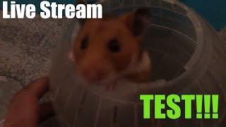 Live Stream TEST | DevTV