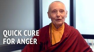 Quick Cure for Anger | Jetsunma Tenzin Palmo