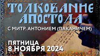 Пятница, 8 ноября 2024 года. Толкование Апостола с митр. Антонием (Паканичем).