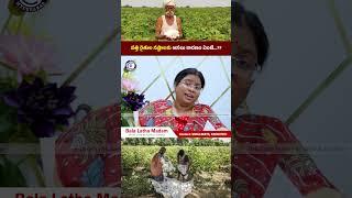 #cotton #farmers #losses #nationalCottonMission #help #crop #production #profit #government #news