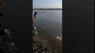 Freezing Cold Melbourne Morning Land Based Fishing !!