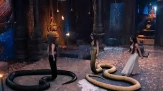 Shivangi kills Shesha |Fight Scene|Naagin Finale