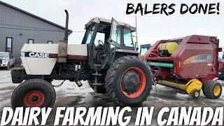 Balers Rebuilt, Tub Grinding, Cleaning Manure, Cheese Building Update!