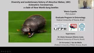 Mario Cupello - Diversity and evolutionary history of Ateuchus