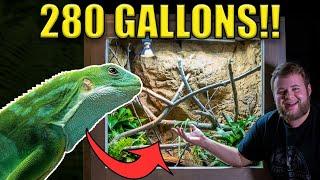 RARE IGUANA PARADISE!! Custom 280 gallon VIVARIUM!!