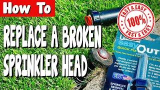 How to Replace a Broken Sprinkler Head - FAST and EASY