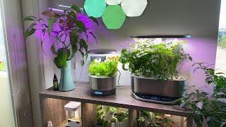 Hydroponics Home Gardening & Transplanting Pods