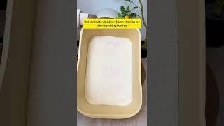 Cãi Nhau Vì Cát Mèo, Kết Quả Bất Ngờ! #notapetvn #cátvệsinhmèo #pets #funnycats #cat #pet #cute #fyp