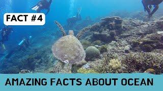 Amazing ocean facts FACTG #4 #SHORTS