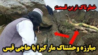 مبارزه خطرناک و سنگین میان حاجی قیس و چهار مار دیگر همراه با شاگردانش فرار همکاران ما 