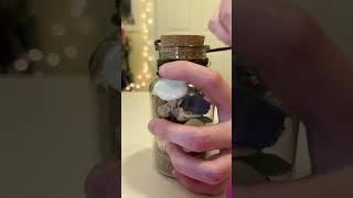ASMR of my Spirit of the Sea decorative potion bottle! Up now in my shop!