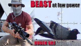 The Beast Killing Them Softly: Huben GK1 at Low Power