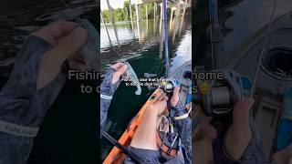 Fishing a lake with DOUBLE DIGIT bass! #fishing #shorts