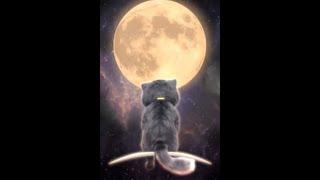 Nightcore - Alone song   [Alan walker] sad billi  English song #alanwalker #alone