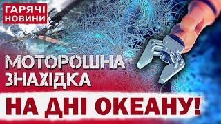 На дні океану виявили моторошну істоту: подробиці знахідки, які шокують!