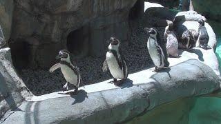 Columbus Zoo and Aquarium