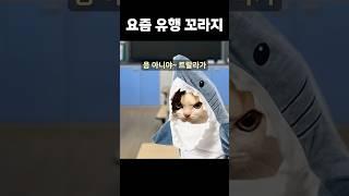 요즘 밈 이대로 괜찮은가
