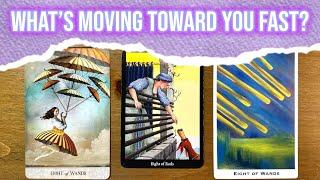 SOMETHING IS COMING TOWARD YOU FAST!  PICK A CARD TAROT READING