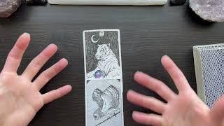 Cancer Full Moon January 2025 Tarot Reading for all Zodiacs!