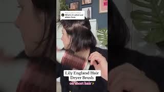 Hair Dryer Brush on Short Hair?!  #shortvideo #hairdryer #blowoutbrush #blowoututorial #shorthair