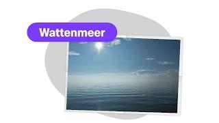 Das besondere Wattenmeer - logo! erklärt - ZDFtivi