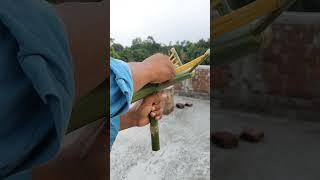 BAMBOO CREATIONS WITH SLINGSHOTS