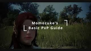 BDO PvP guide for newbies!