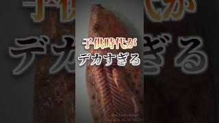 【雑学】つまらない大人、子供時代にイキる