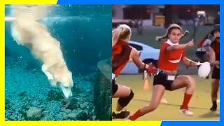 COMPILATION OF BEST VIDEO 2021|FUNNY VIDEOS