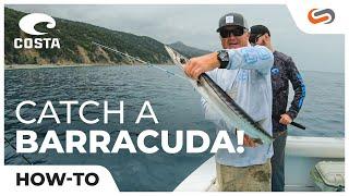 How to Catch Barracuda at Catalina Island | SportRx