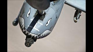 A-10 Warthog EAR*APE