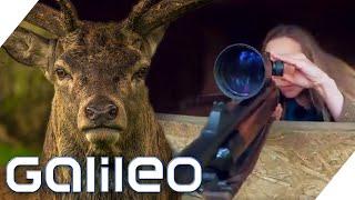 Frag eine Jägerin: Wie gut ist Wildfleisch? | Galileo | ProSieben