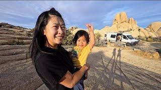 What Van Camping Inside Joshua Tree NP Looks Like | A Van Life Family Vlog