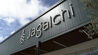 75,000-square-foot Korean food emporium Jagalchi opens in Bay Area