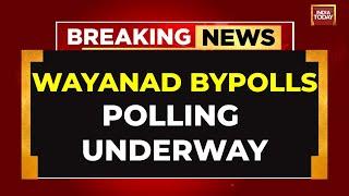 Wayanad Bypolls LIVE: Polling Underway In Wayanad As Priyanka Gandhi Seeks A Successful Poll Debut