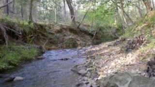 Real Estate for sale Columbia SC The 30 Acre Wood www.huntllc.com