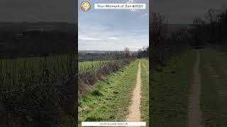 ScienceMan Moment of Zen 0550 #peaceful #hike #walk #cotswolds #uk #nature #asmr