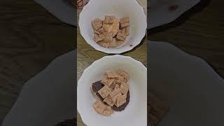 Instant Chocolate PUDDING with Biscuits and Cereal