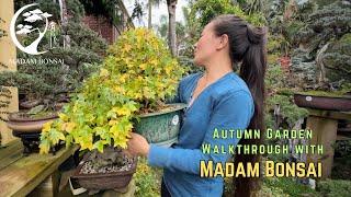 Autumn Garden Walkthrough With Madam Bonsai